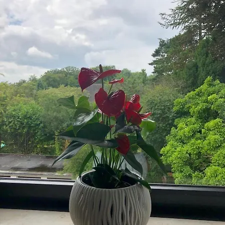 Kleine Oase In Essen-sued *