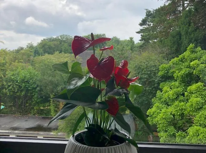 Kleine Oase In Essen-sued *